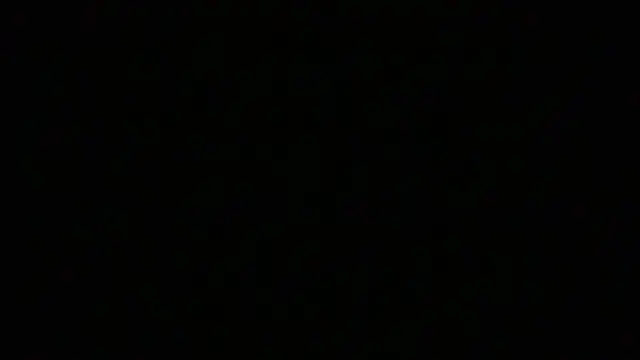 NuttyProfesirのウェブカメラショー