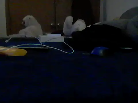 Silencio26 Live XXX-chat