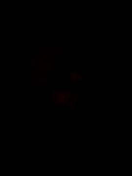 gagyi1234 Webcam show
