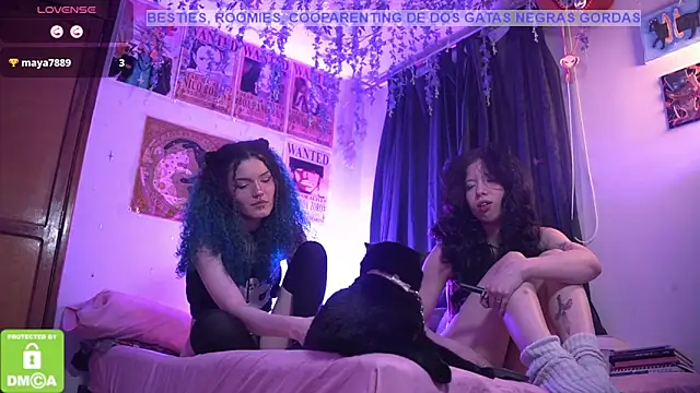 Chat +18 de Katyroronoa ao vivo