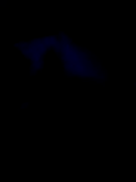 GeorgeWashingtown webcam show
