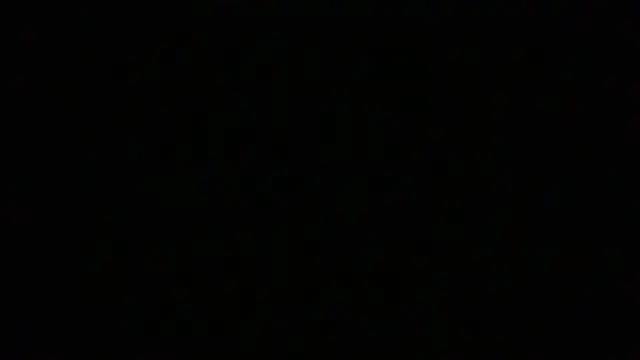 NuttyProfesir Webcam-Show