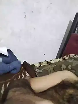 عرض كام salimbasha