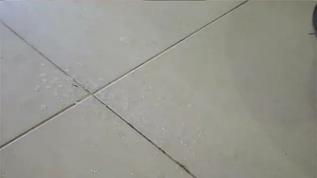 dantecoppolaa_'s Live XXX Chat