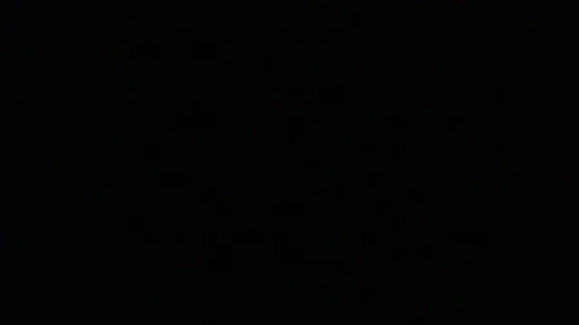 NuttyProfesir: διαδικτυακό σόου στην κάμερα