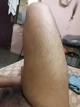 Show Webcam de Arnav13579