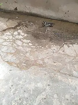 Chat XXX en directo de lambakooli