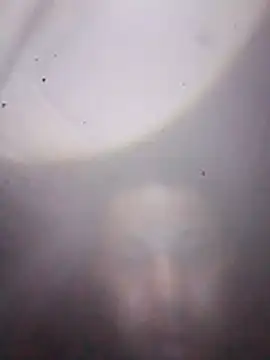R-ant12 Webcam show