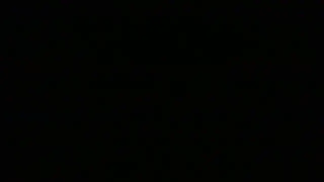 Webkamerová show NuttyProfesir