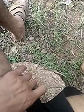 Forest_lover24: απευθείας συνομιλία ΧΧΧ