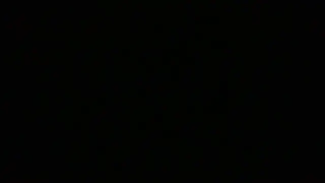 NuttyProfesir Webcam-Show