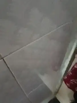 CockForPussy1508n Webbikameraesitys
