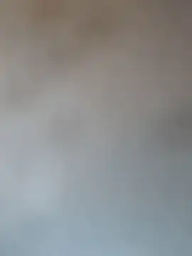 Show webcam de jeunehomme33