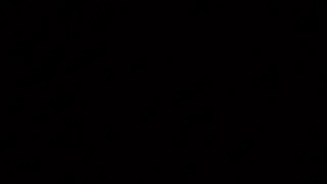 raven_n_mattn Webbikameraesitys
