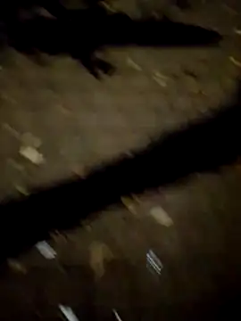 FeloBad 网络视讯表演