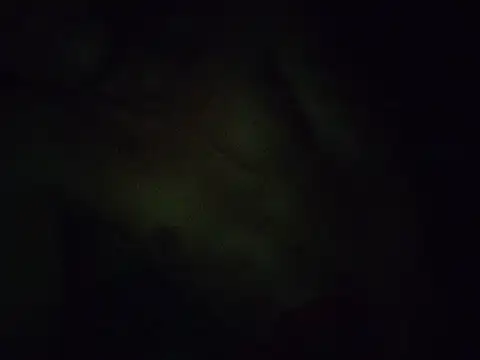 Webkamerová show Falcaogg