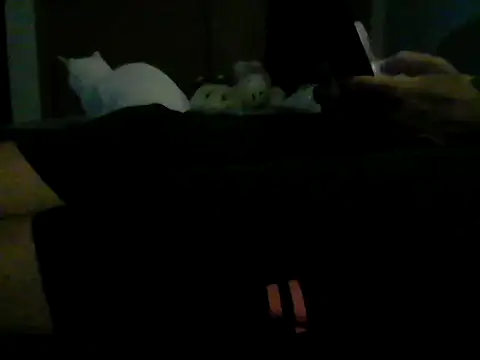 Silencio26 Live XXX-chat