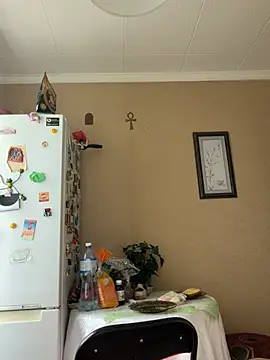 دردشة Frosl الجنسية المباشرة
