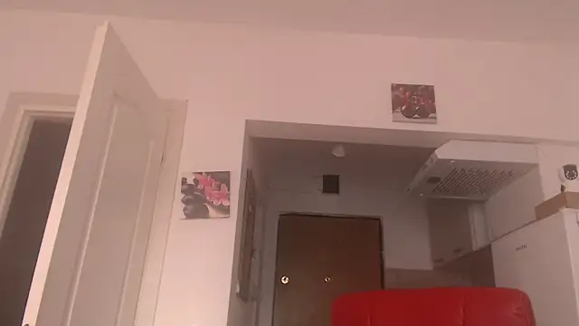 Chat +18 de simyhvn ao vivo