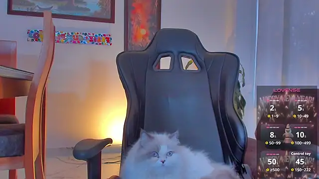 RJBarto 现场XXX聊天