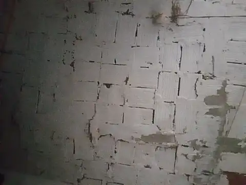 stevensonbrocha Webcamshow