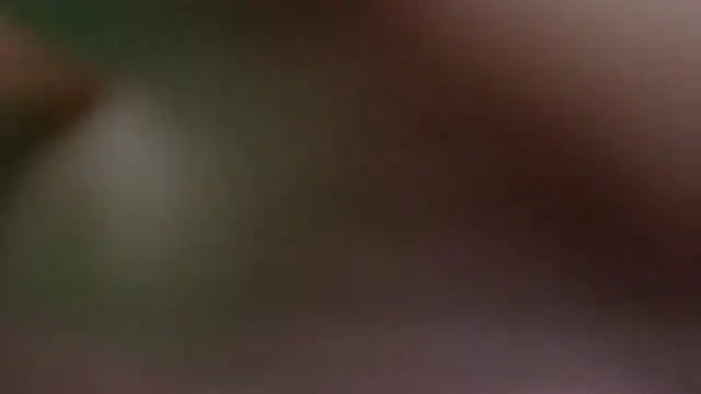 Chat +18 de katifoxx ao vivo