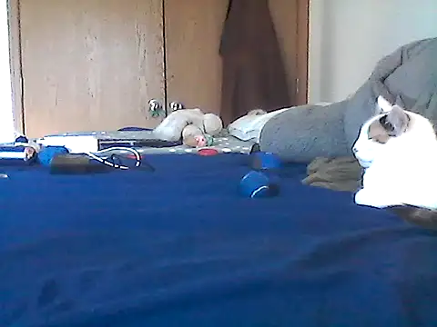 Silencio26 Chat XXX in diretta