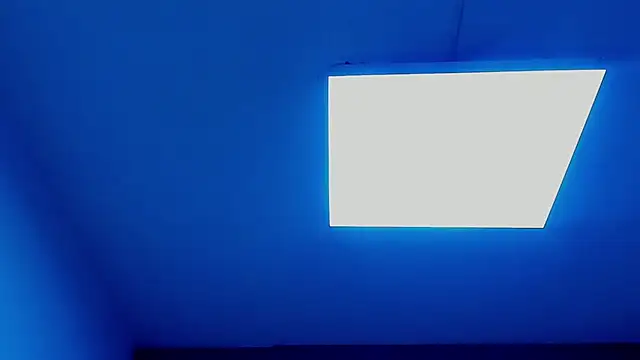 Živý XXX chat CattsyCatt