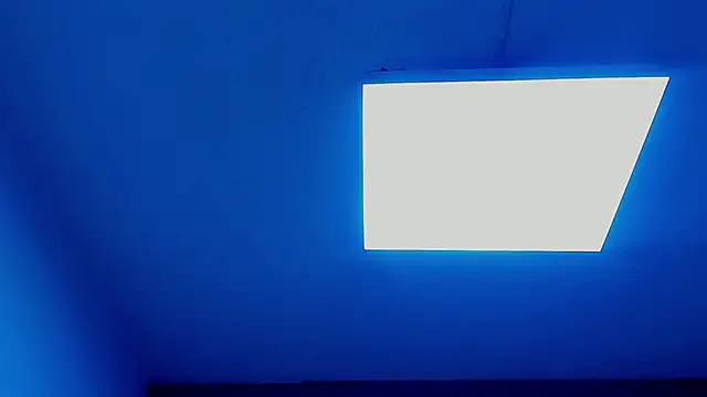 CattsyCatt élő XXX-chatje