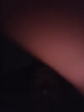 Nidge251 Pertunjukan Webcam