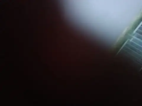 Pertunjukan Kamera Web kenzzzz