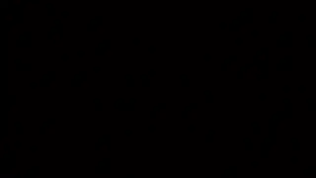 raven_n_matt 网络视讯表演