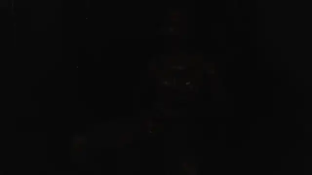 inc25cb@xh XXX чат на живо