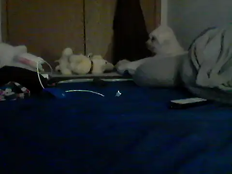 Chat XXX en directo de Silencio26