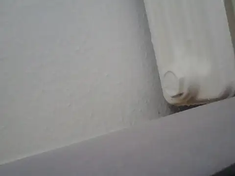 Вебкам-шоу lickthehottie