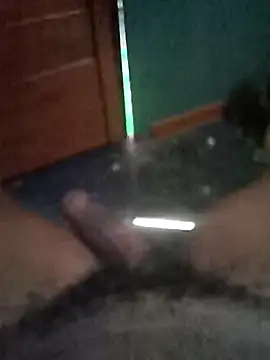 Show Webcam de pplayboit