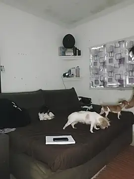 Gasc_1992 – Naživo XXX chat