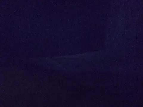 queen_bee2 现场XXX聊天
