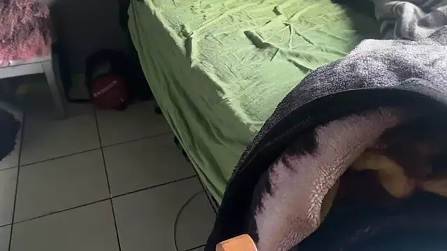 Soaponarope007 Live XXX-Chat