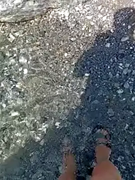 Show webcam de NAvoglia