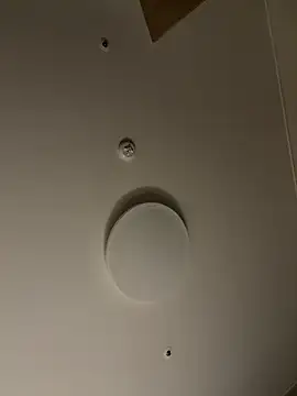 dvoi 网络视讯表演