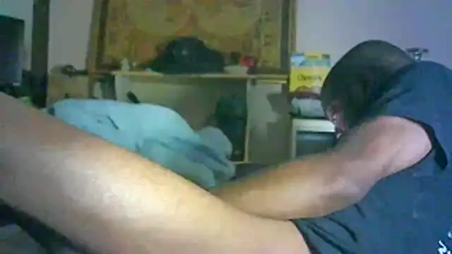 Show Webcam de CR3M3_FIR3