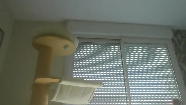 Chat XXX en directo de sexy007sexy