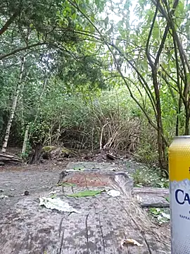 Tangafun লাইভ XXX চ্যাট