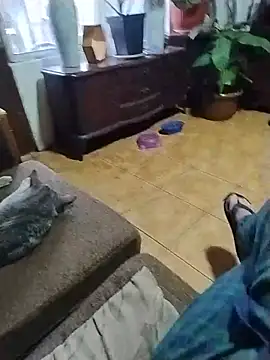 Yayo66 라이브 XXX 채팅