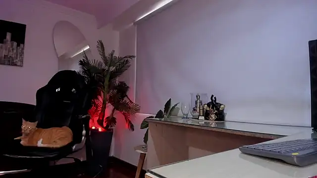 Meghan320 라이브 XXX 채팅