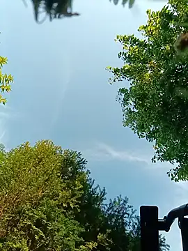 bigcock_marusz Pertunjukan Webcam