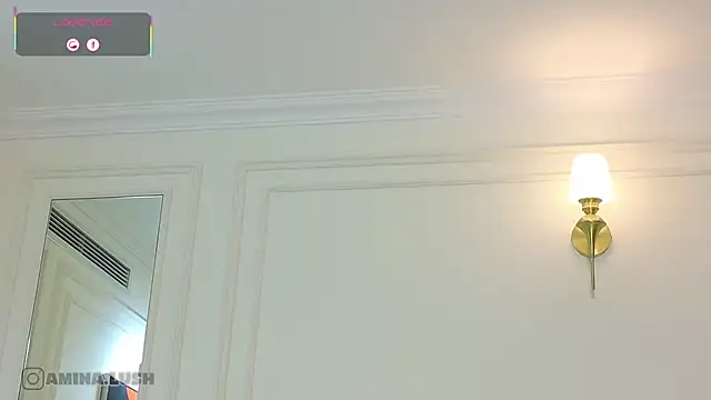 AminaCharm 웹캠 쇼