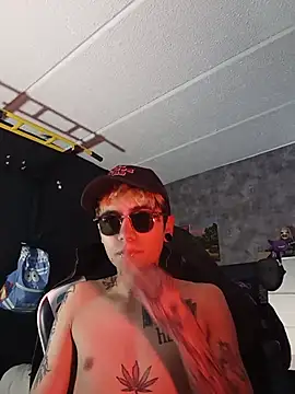AcidMilo élő XXX-chatje