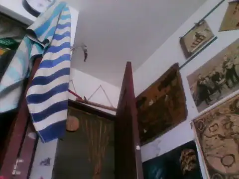 LECHEBALLS Live XXX-Chat